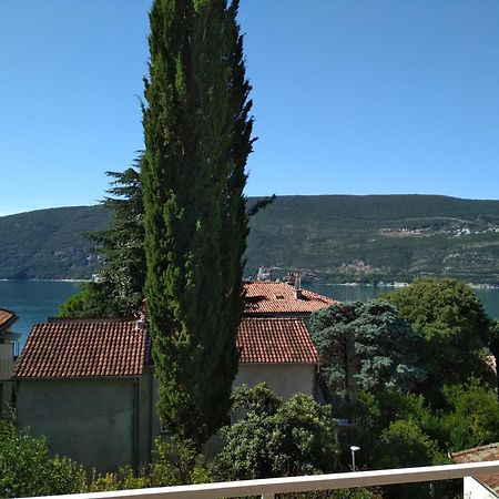 Guest House Tomanovic Χέρτσεγκ Νόβι Δωμάτιο φωτογραφία