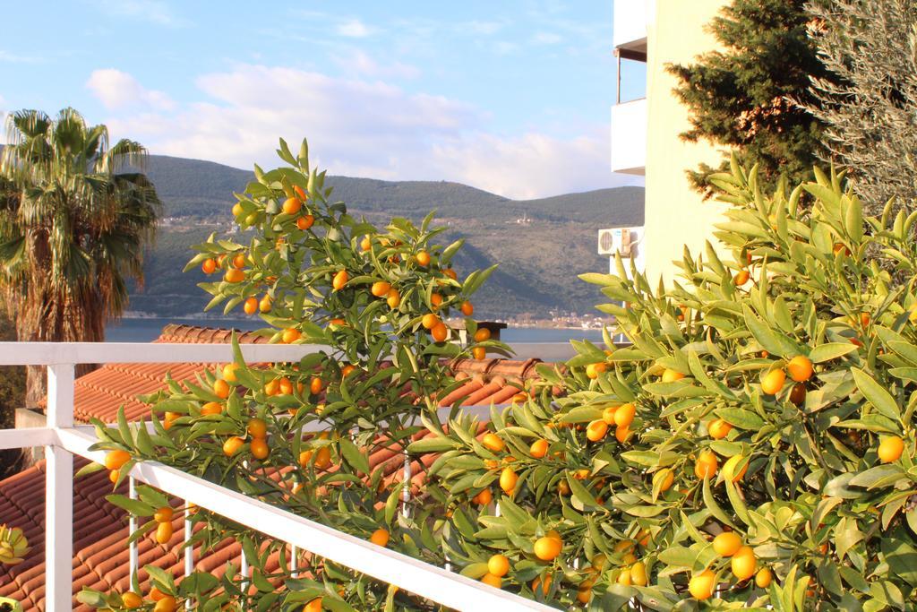 Guest House Tomanovic Χέρτσεγκ Νόβι Εξωτερικό φωτογραφία
