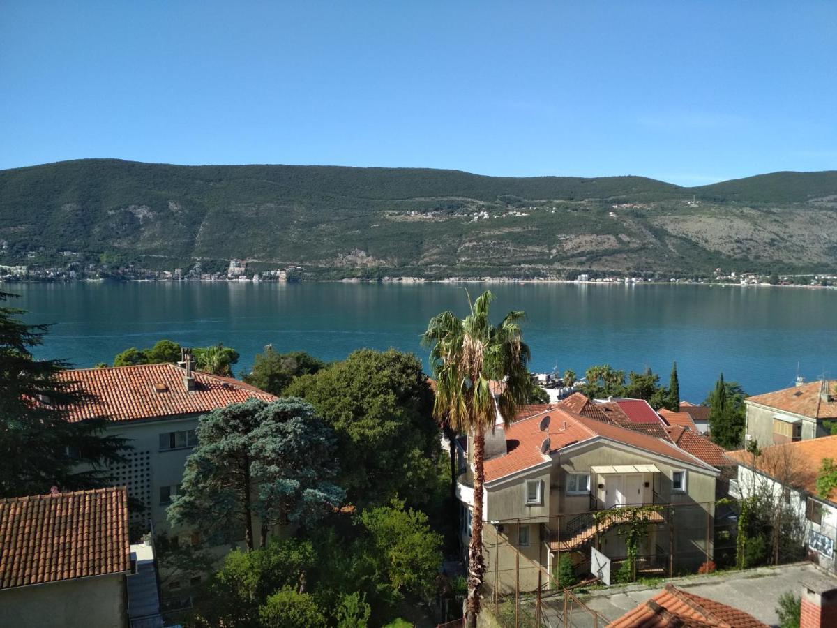 Guest House Tomanovic Χέρτσεγκ Νόβι Εξωτερικό φωτογραφία